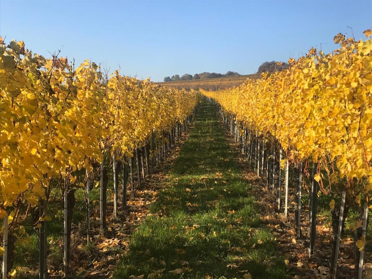 Weingut & Gastezimmer Edelmann Göttlesbrunn Εξωτερικό φωτογραφία